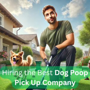 Why Hiring the Best Dog Poop Pick Up Company is the Best Decision for Your Yard!