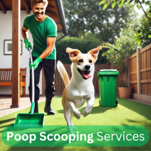 How to Select the Best Poop Scooping Services!